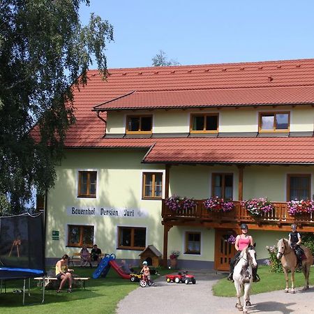 Bauernhof Pension Juri Obergösel 외부 사진